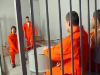 Stunner inmates sať zobanie vták